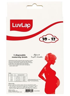 Luvlap Luvlap Disposable Maternity Brief (Size 10-12) (Pack of 2)  - Image 4