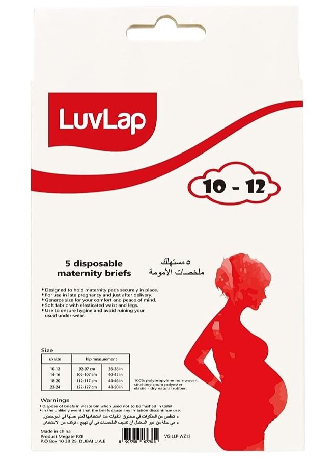 Luvlap ملابس داخلية نسائية للاستخدام مرة واحدة من لوفلاب (مقاس 10-12) (عبوة من قطعتين)  - Image 4