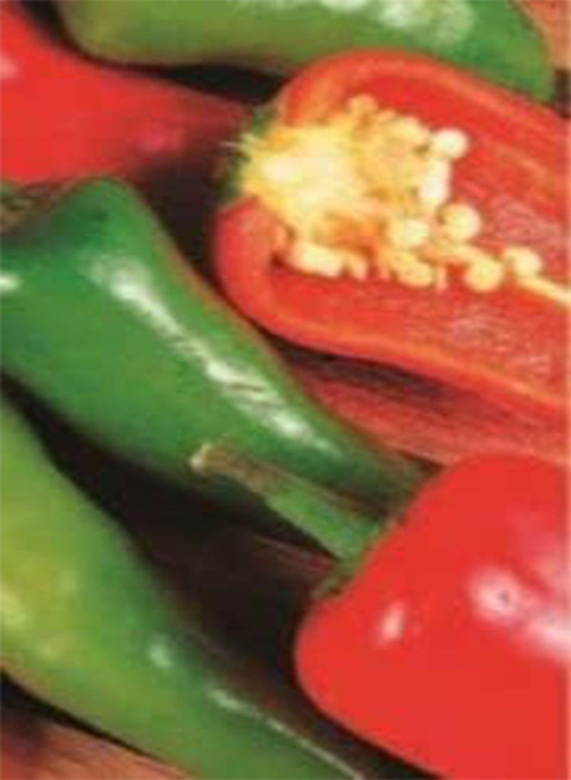 GGOOT 33 Seeds of Chilli Jalapeno Fresh Vegetable, Grow Your Own Garden Simply Garden