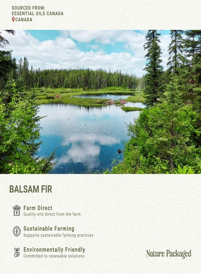 Nature Packaged Balsam Fir Essential Oil (15ml) - Direct from Our Farm Partner in Canada - Essential Oils for Home, Humidifier, or Aromatherapy | Pure Therapeutic Grade - Image 5