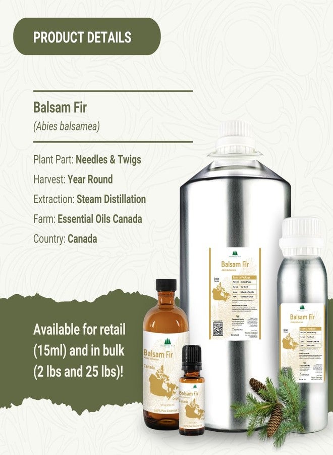 Nature Packaged Balsam Fir Essential Oil (15ml) - Direct from Our Farm Partner in Canada - Essential Oils for Home, Humidifier, or Aromatherapy | Pure Therapeutic Grade - Image 4