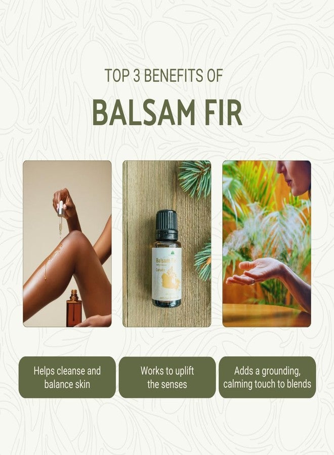 Nature Packaged Balsam Fir Essential Oil (15ml) - Direct from Our Farm Partner in Canada - Essential Oils for Home, Humidifier, or Aromatherapy | Pure Therapeutic Grade - Image 2