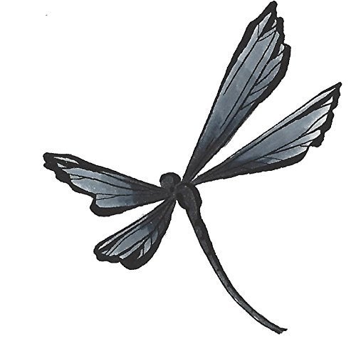 Tombow 56621 Dual Brush Pen, N15 - Black, 1-Pack. Blendable, Brush and Fine Tip Marker - Image 3