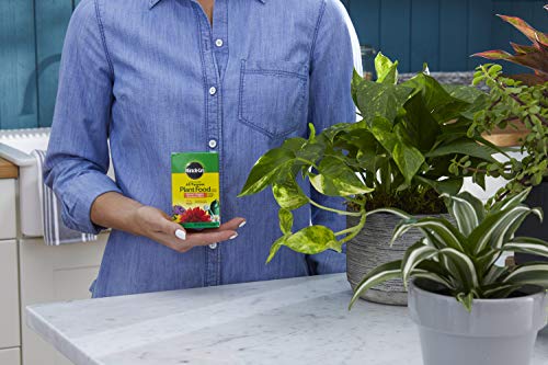 Miracle-Gro Water Soluble All Purpose Plant Food 8 oz., 2-Pack - Image 5