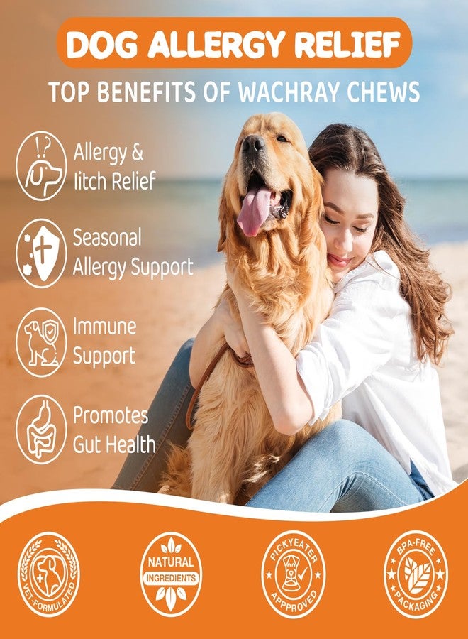 WACHRAY مضغ لتخفيف الحساسية والحكة لدى الكلاب، بروبيوتيك للكلاب لعلاج حكة الجلد والأذن، مكمل غذائي للكلاب المصابة بحساسية لعق الكفوف - 180 قطعة بنكهة الدجاج - Image 3