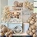 IHEPYQ Tan Balloons Double Stuffed Nude Brown Garland Apricot Different Sizes Neutral Balloon Arch Kit for Teddy Bear Baby Showers Woodland Jungle Themed Birthdays Boho Party Decorations - Image 3