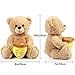 BenBen Teddy Bear Stuffed Animal with Honey Pot 10 inch Funny Bear Plush Toy Gift for Birthday for Her Women Girlfriend Wife - Image 4