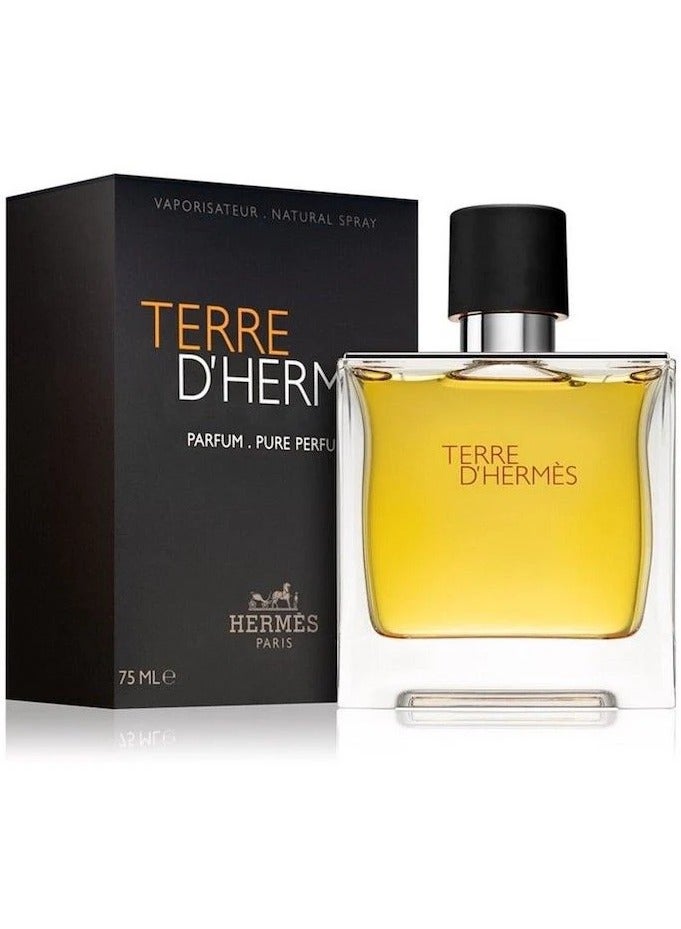 HERME'S PARIS Terre D'Hermes Pure Parfum EDP 75ml - Image 1