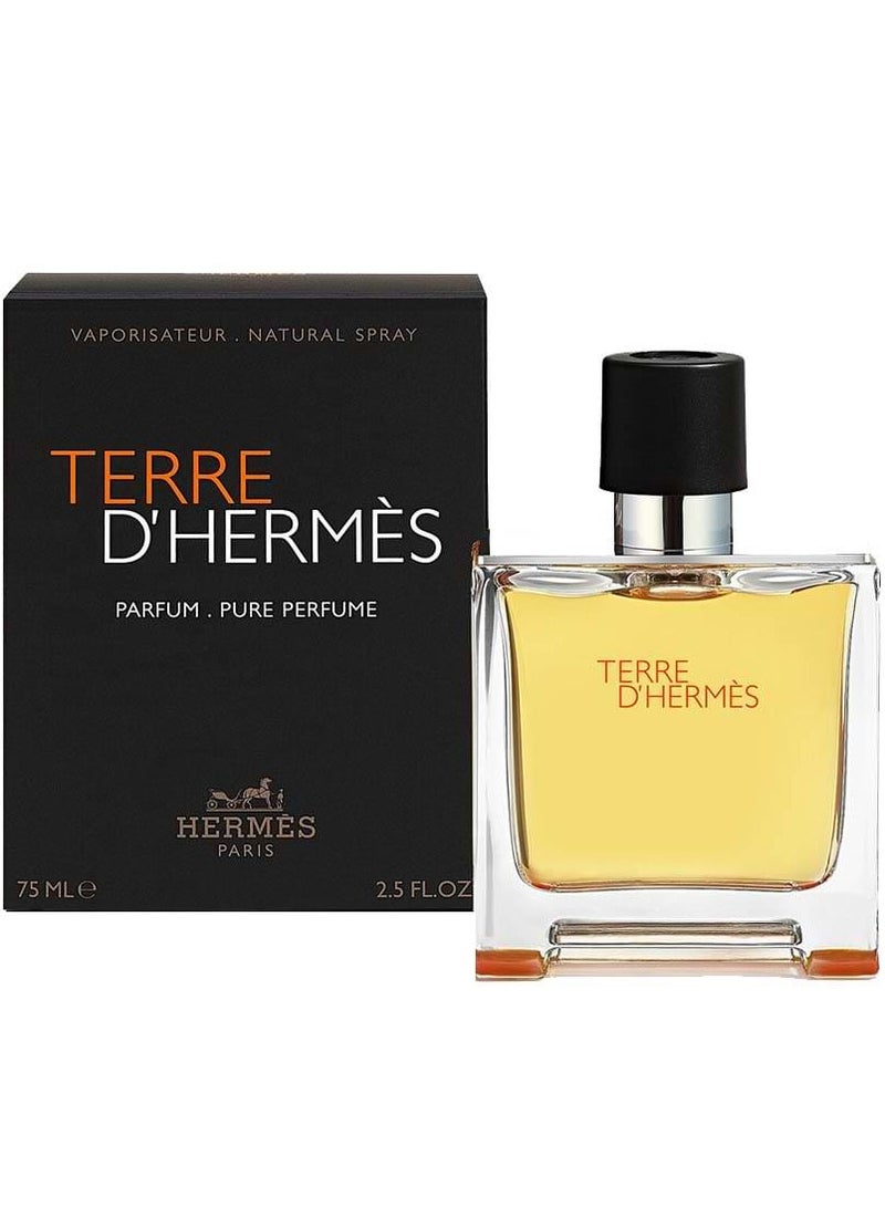 HERME'S PARIS Terre D'Hermes Pure Parfum EDP 75ml - Image 2