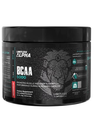 Limitless Alpha BCAA 5000 – 30 Servings (Watermelon) - pzsku/ZED6F66C513FA57C6FB04Z/45/_/1725450392/628dc82b-fbaf-4c66-a9a2-08e916010225