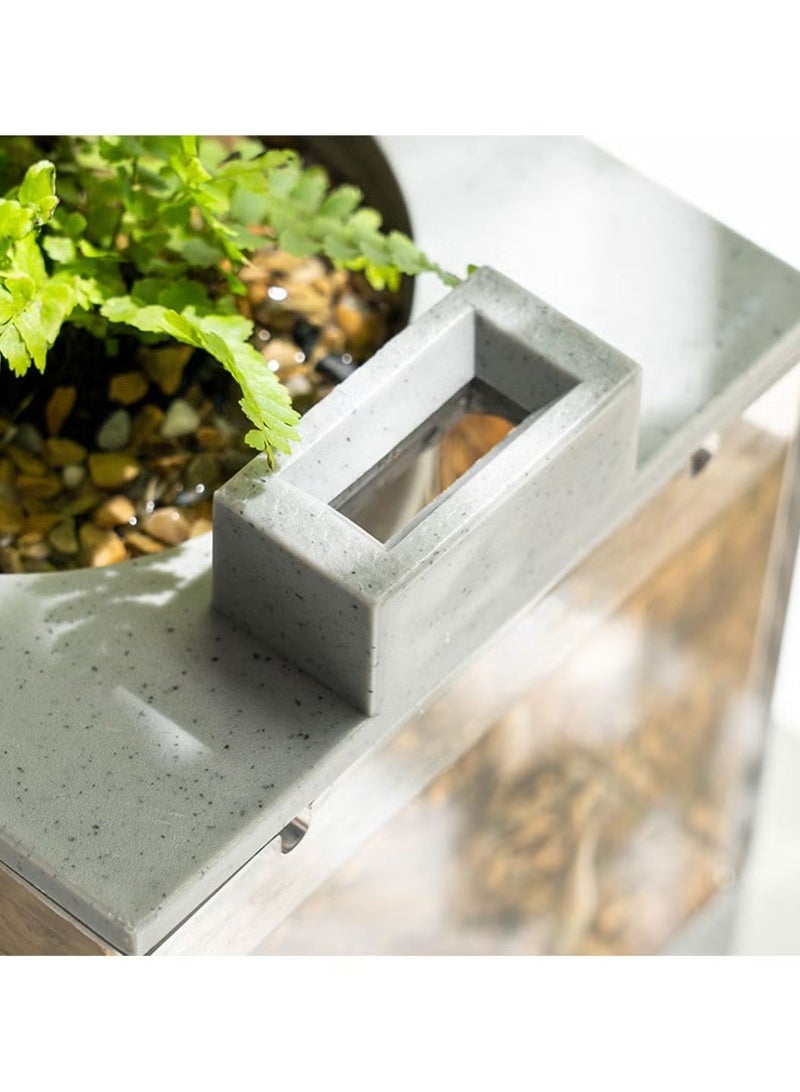 GMORO Aquarium Fish Tank Mini with Planting - Image 3