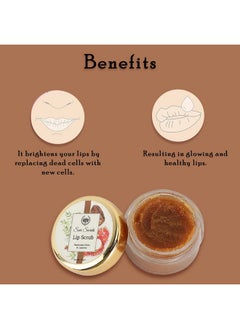 Seer Secrets 100% Natural Super Soft Rambutan, Dates & Liquorice Lip Scrub To Protect & Heal Lips | Lighten & Brighten Dark Lips | Heal Chapped Cracked Dry Lips | Active Nourishing Care -Pack Of 15 Gm  - Image 3