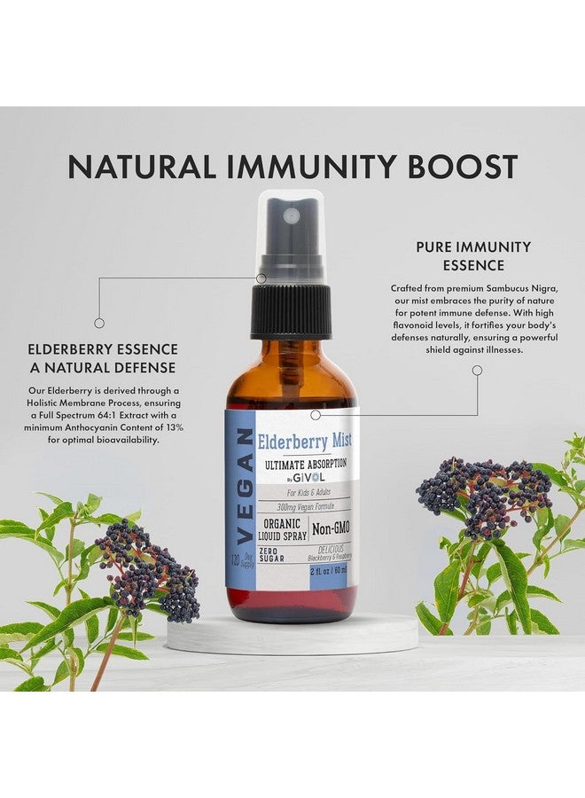 GIVOL, Organic Elderberry Mist-Sambucus Nigra (Extra Strength) Liquid Extract for Kids & Adults - Immune Boost - High Flavonoid Levels - Vegan Easy Absorption - - Non-GMO 120 Days Supply - Image 2