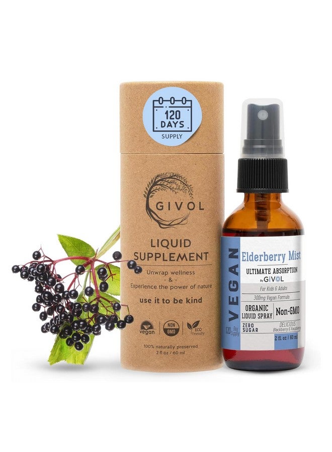 GIVOL, Organic Elderberry Mist-Sambucus Nigra (Extra Strength) Liquid Extract for Kids & Adults - Immune Boost - High Flavonoid Levels - Vegan Easy Absorption - - Non-GMO 120 Days Supply - Image 1
