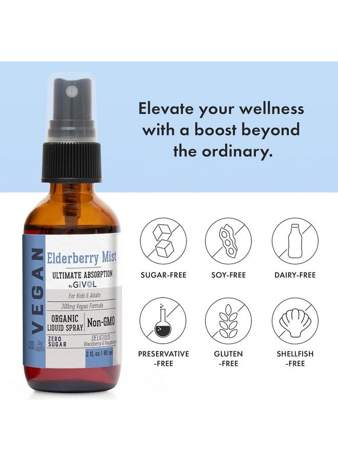 GIVOL, Organic Elderberry Mist-Sambucus Nigra (Extra Strength) Liquid Extract for Kids & Adults - Immune Boost - High Flavonoid Levels - Vegan Easy Absorption - - Non-GMO 120 Days Supply - Image 4