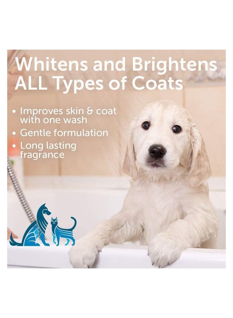 nootie Whitening Jojoba Oil Pet Shampoo Sweet Pea & Vanilla Scented 473 ml - Image 3