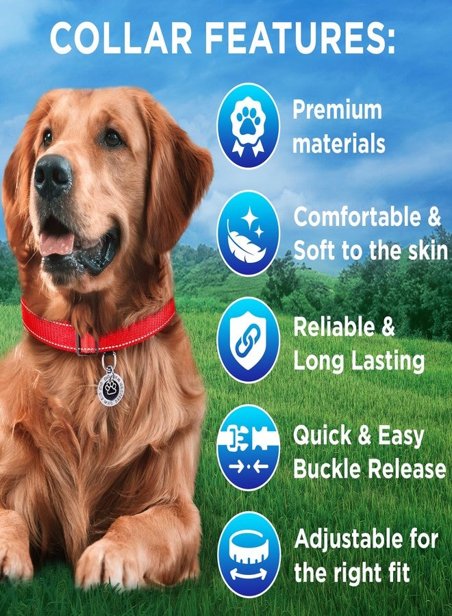 TECEUM Reflective Dog Collar – Red – S – Extra Soft Padding – Basic Nylon Pet Collar – Quick Release Buckle – Fits Small, Medium and Large Dogs, Puppies, Cats – ESA & Service Dog Options - Image 3
