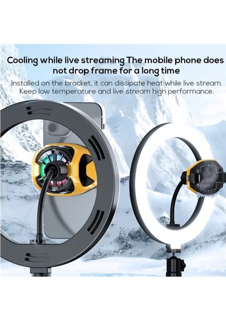 Memo DL22 Mobile Phone Cooling Fan with RGB Lights Adjustable Semiconductor Radiator Cooler - Image 5