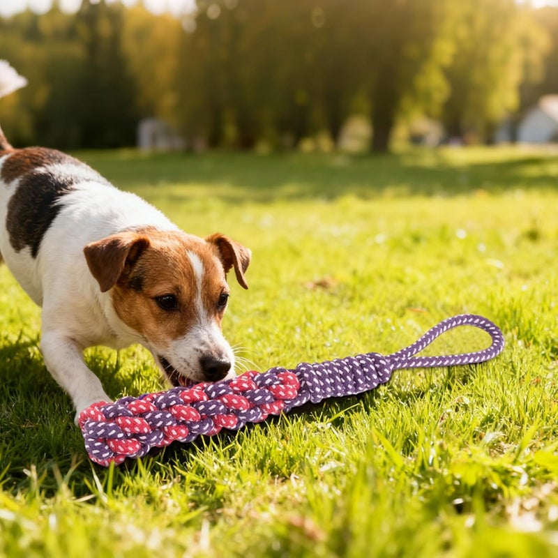 Dog Chew Toy, Puppy Tug Toy, Cotton Rope - Interactive Training & Teething Relief - Image 2
