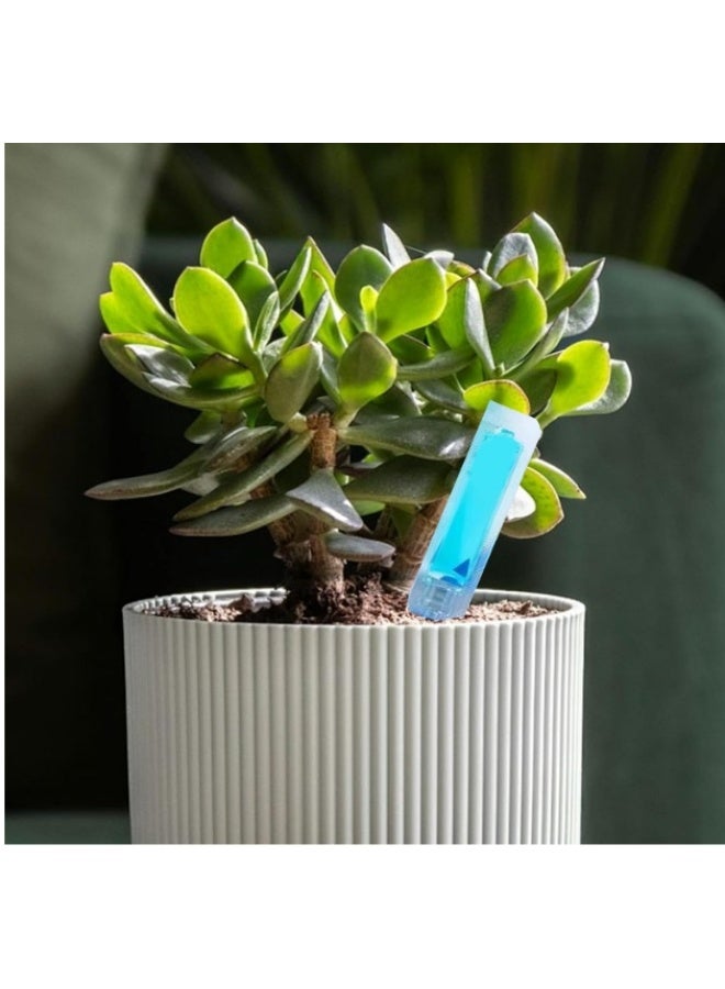 Plant Growth Growing Fast Liquid Fertilizer Best For Indoor & Outdoor Plants 6PCS Per Pack - Image 5