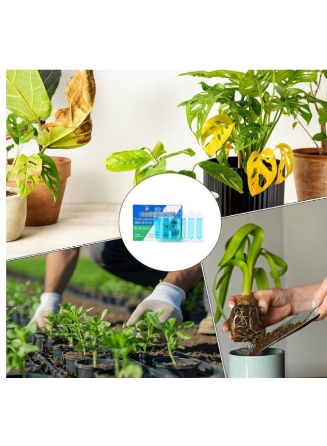 Plant Growth Growing Fast Liquid Fertilizer Best For Indoor & Outdoor Plants 6PCS Per Pack - Image 3