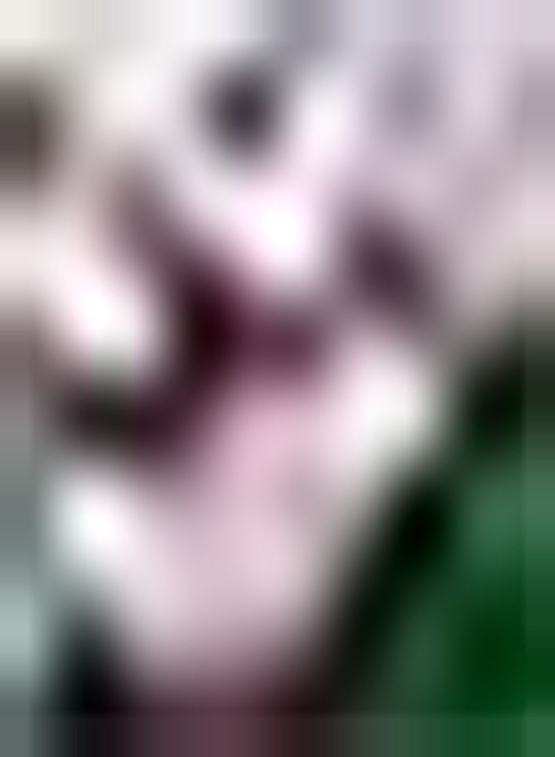 GGOOT 10pcs Rosa Tulpenzwiebeln Gartendekoration Machen Schnittblumensträuße Zierwert Wirtschaftlicher Wert Das Pflanzen ist Nicht schwierig - Image 2