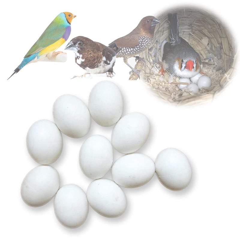 MESINURS Solid Plastic Eggs - Parrot Bird Hatching Replacing Eggs for Guiding Birds to Stop Laying, 10 PCS (S) - Image 1
