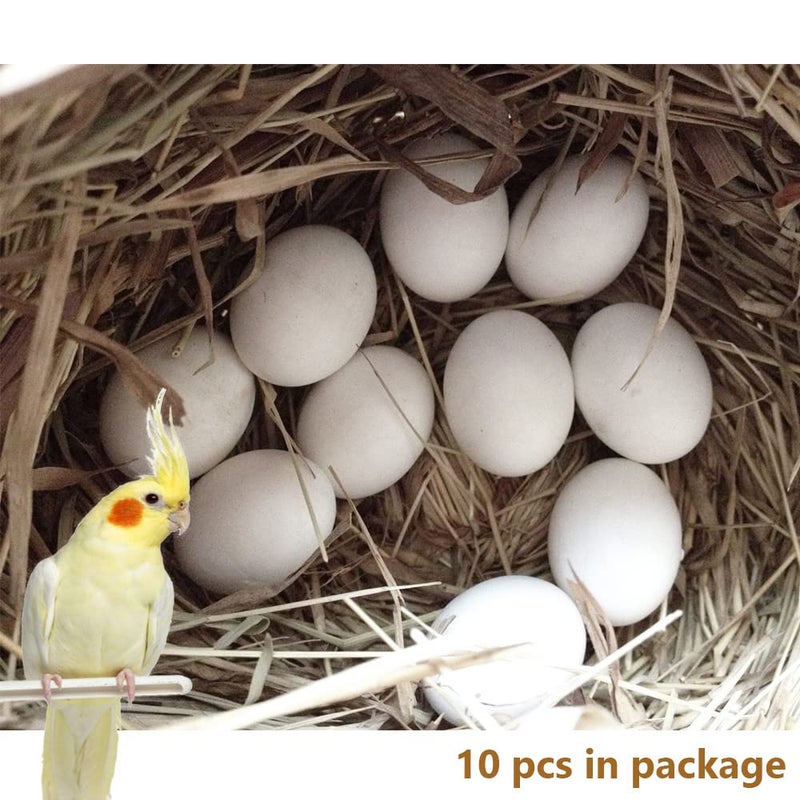 MESINURS Solid Plastic Eggs - Parrot Bird Hatching Replacing Eggs for Guiding Birds to Stop Laying, 10 PCS (S) - Image 5