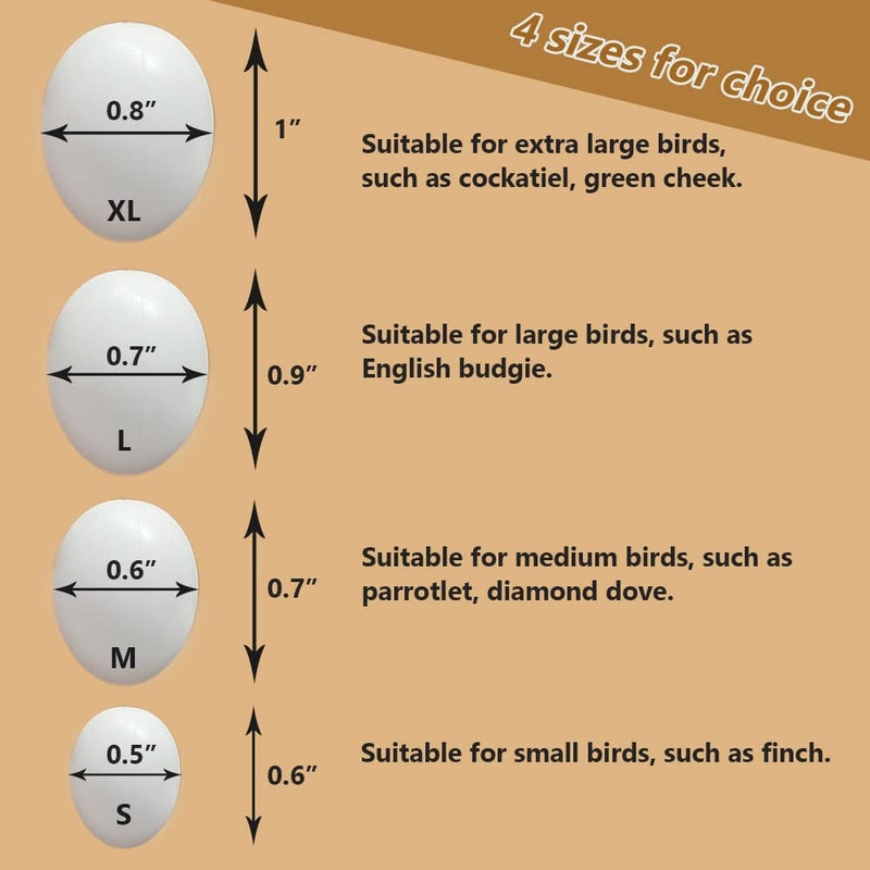 MESINURS Solid Plastic Eggs - Parrot Bird Hatching Replacing Eggs for Guiding Birds to Stop Laying, 10 PCS (S) - Image 2