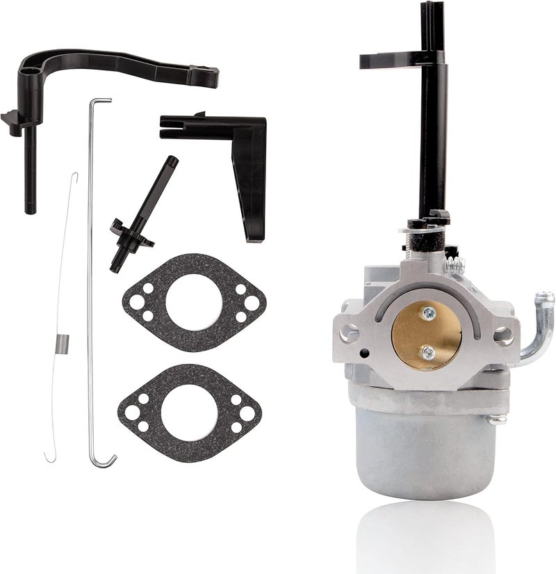 PRUNkuar Carburetor for Briggs & Stratton 5000 5550 6200 8550 10HP GenPower 305 697978 796321 696132 696133 796322 697351 699958 699966 698455 695918 694952 695919 695330 796323 695920 695328 Carburetor - Image 1