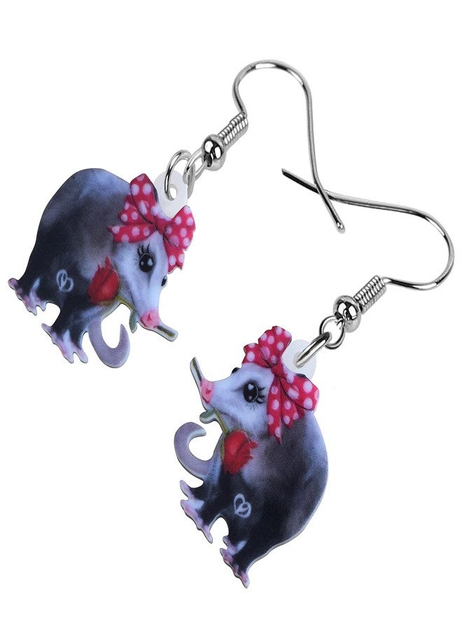 DUOWEI Acrylic Latin America Possum Earrings Funny Possum Dangle Jewelry for Women Gifts Charms (Pink) - Image 3