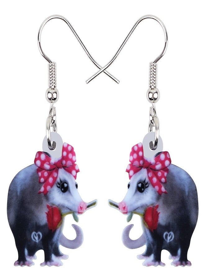 DUOWEI Acrylic Latin America Possum Earrings Funny Possum Dangle Jewelry for Women Gifts Charms (Pink) - Image 1