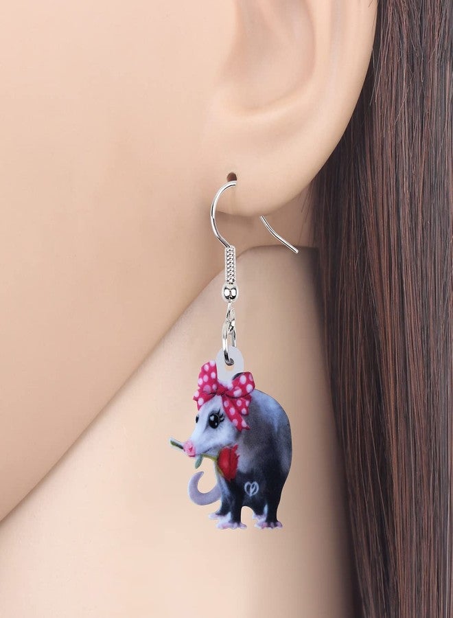 DUOWEI Acrylic Latin America Possum Earrings Funny Possum Dangle Jewelry for Women Gifts Charms (Pink) - Image 2