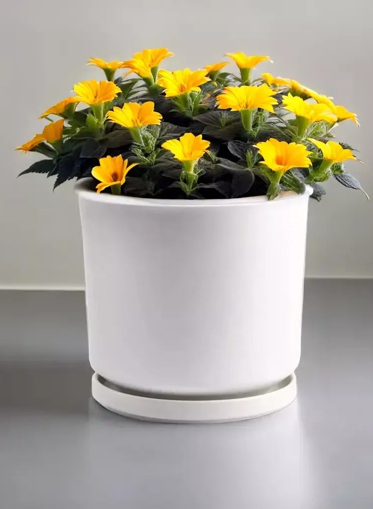 ڤسيل24 أوعية زهور سيراميك بيضاء مستديرة مع فتحة تصريف وصحن وأواني حديقة عصارية للاستخدام الداخلي والخارجي - Image 1