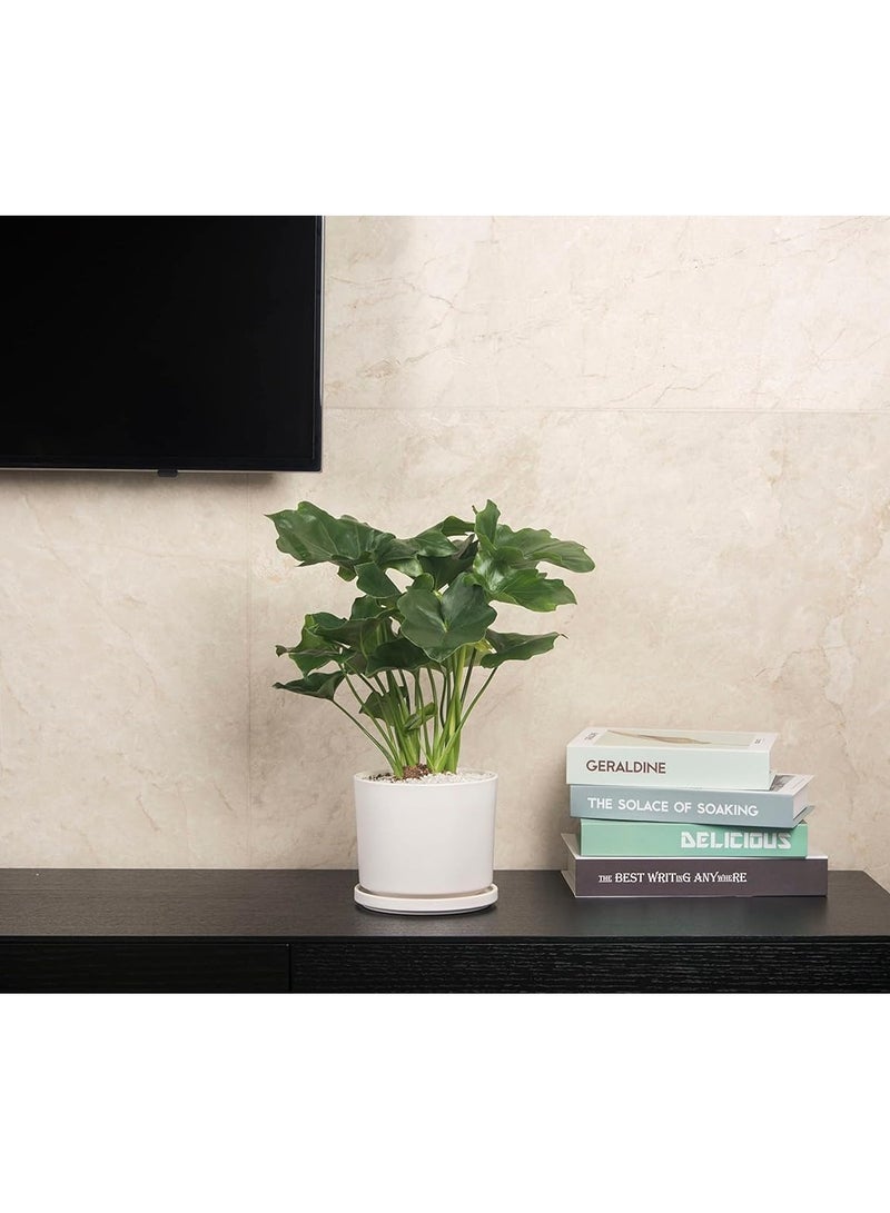 ڤسيل24 أوعية زهور سيراميك بيضاء مستديرة مع فتحة تصريف وصحن وأواني حديقة عصارية للاستخدام الداخلي والخارجي - Image 4