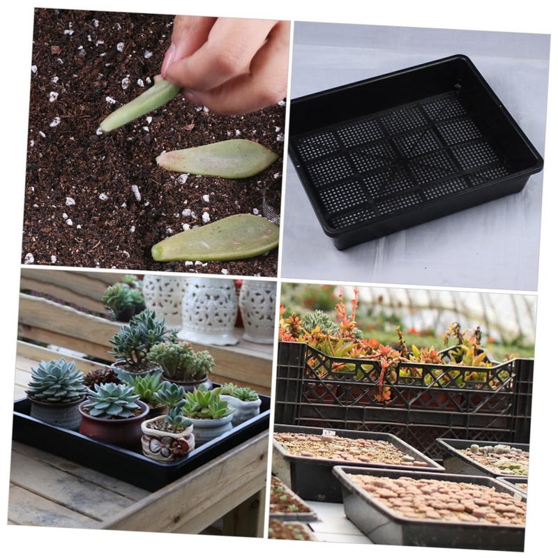 Black Propagation Nursery Pots And Trays 3 Sets Plant Germination Kit For Succulents - Image 5