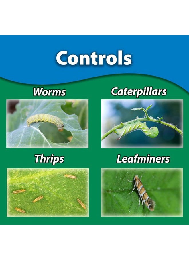 Monterey - Garden Insect Spray - Organic Gardening Control of Foliage Feeding Worms, Thrips, Leafminers - 1 Pint Ready to Spray, Attaches to Garden Hose - Image 1