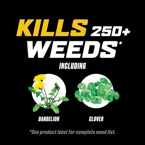 Ortho WeedClear Weed Killer for Lawns Concentrate, Kills Dandelion and Clover, 1 gal. - Image 4