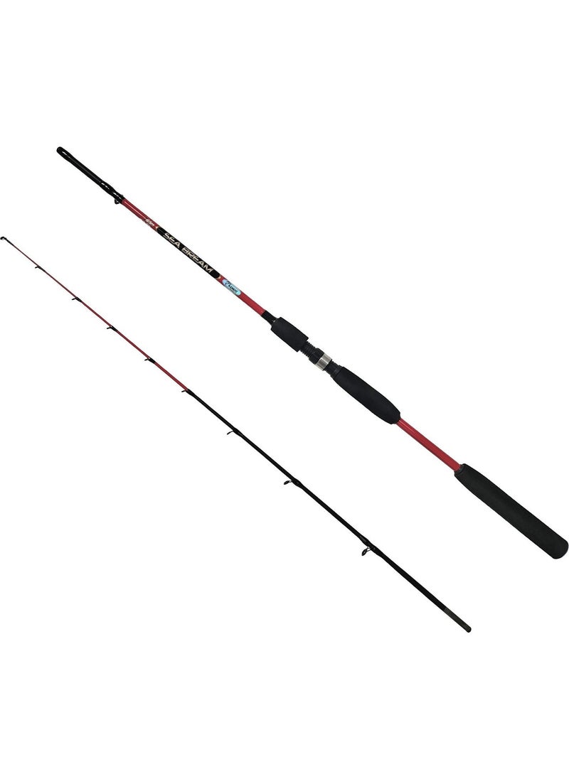 Sea Bream 1.65M Up To 150GR 2 Piece Fishing Pole - pzsku/ZED7D22FADAF21ADF5F49Z/45/_/1734438232/e09d5bf3-42b8-4217-b5ff-8b1cd5da85d1