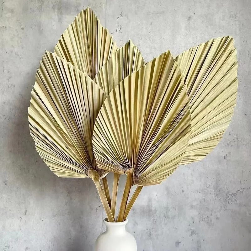 Bluejw Dried Palm Leaves for Wedding Decor - Natural Dried Plants for Home Decoration, Bouquets & Floral Arrangements - Hot Selling Style - Image 3