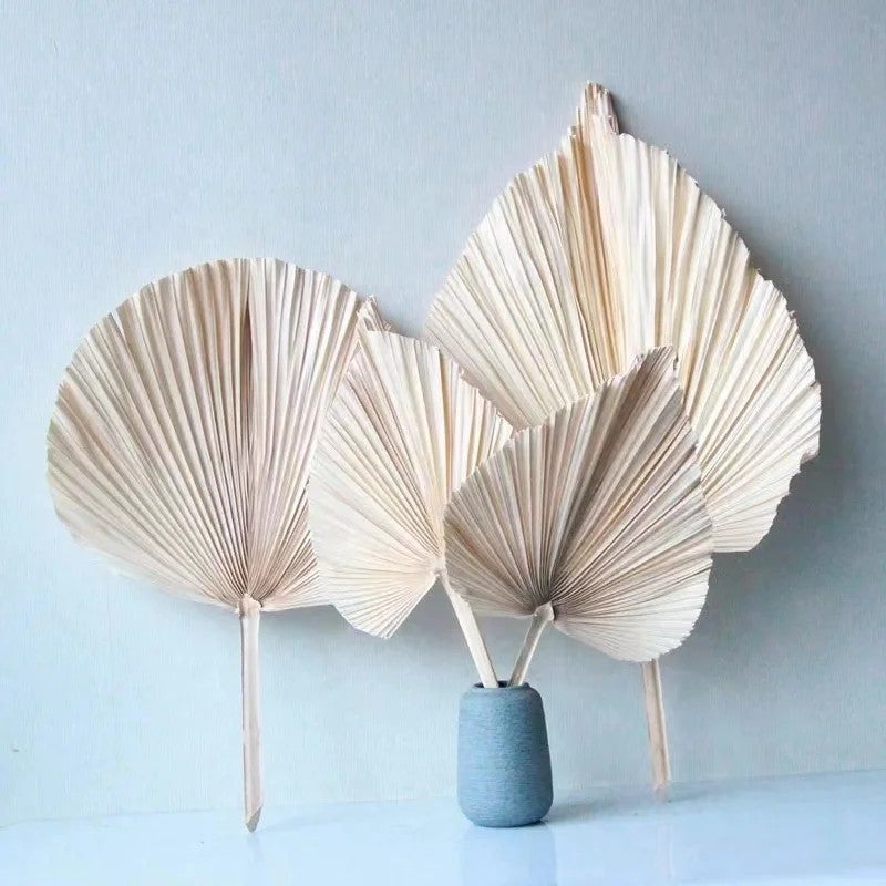 Bluejw Dried Palm Leaves for Wedding Decor - Natural Dried Plants for Home Decoration, Bouquets & Floral Arrangements - Hot Selling Style - Image 5
