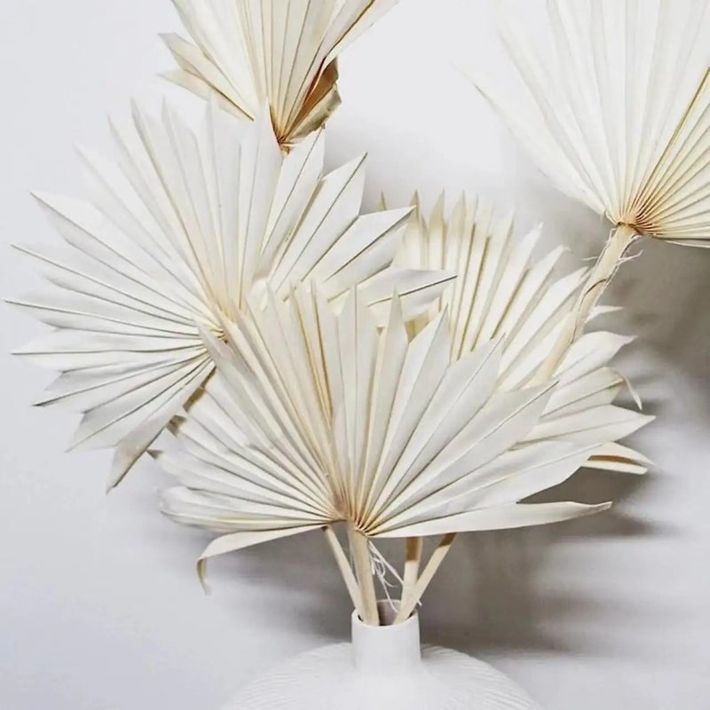 Bluejw Dried Palm Leaves for Wedding Decor - Natural Dried Plants for Home Decoration, Bouquets & Floral Arrangements - Hot Selling Style - Image 4