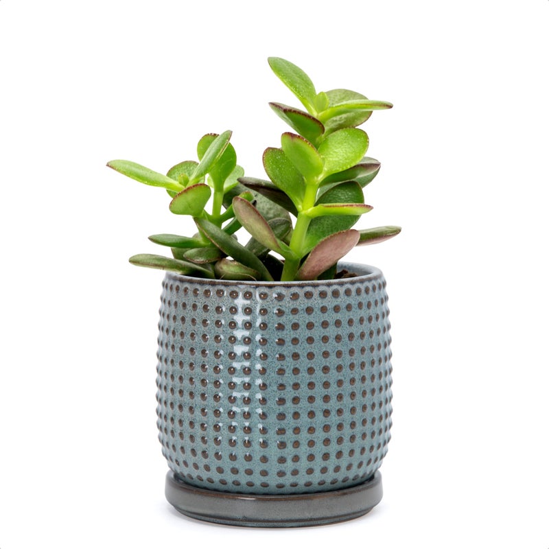 D'vine Dev 4 Inch Ceramic Beaded Stoneware Planter Pot - Flower Pot with Drainage Holes and Saucers for Indoor Succulent Plants or Flowers, Graphite Blue, 27-C-Z-9 - Image 1