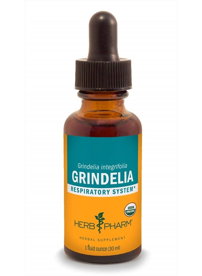 HERB PHARM Grindelia Liquid Extract for Respiratory System Support - 1 Ounce (DGRIND01) - Image 1