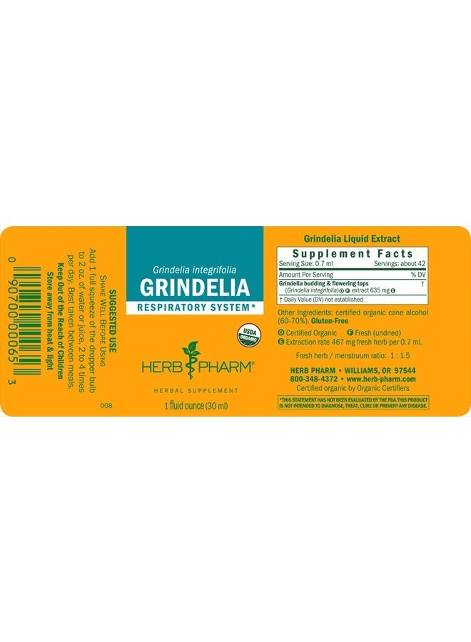 HERB PHARM Grindelia Liquid Extract for Respiratory System Support - 1 Ounce (DGRIND01) - Image 5