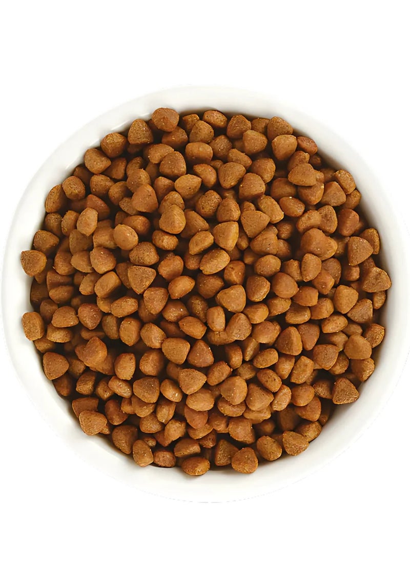 Jungle Adult Cat Food Chicken & Fish 1.5KG - pzsku/ZED86ADE0D74583605BDEZ/45/_/1740841747/ca8b7e6e-5d66-4455-8ae0-769d48ab0a7a