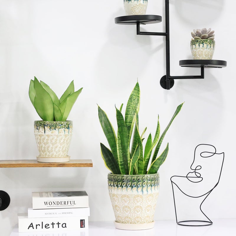 YFFSRJDJ 6 Inch Ceramic Planter Pots with Drainage Holes, Saucers and Mesh Pads for Indoor-Outdoor Plants, Succulent Orchid Flower Large Round Plant Pot, Set of 2 (Green+White) - Image 2