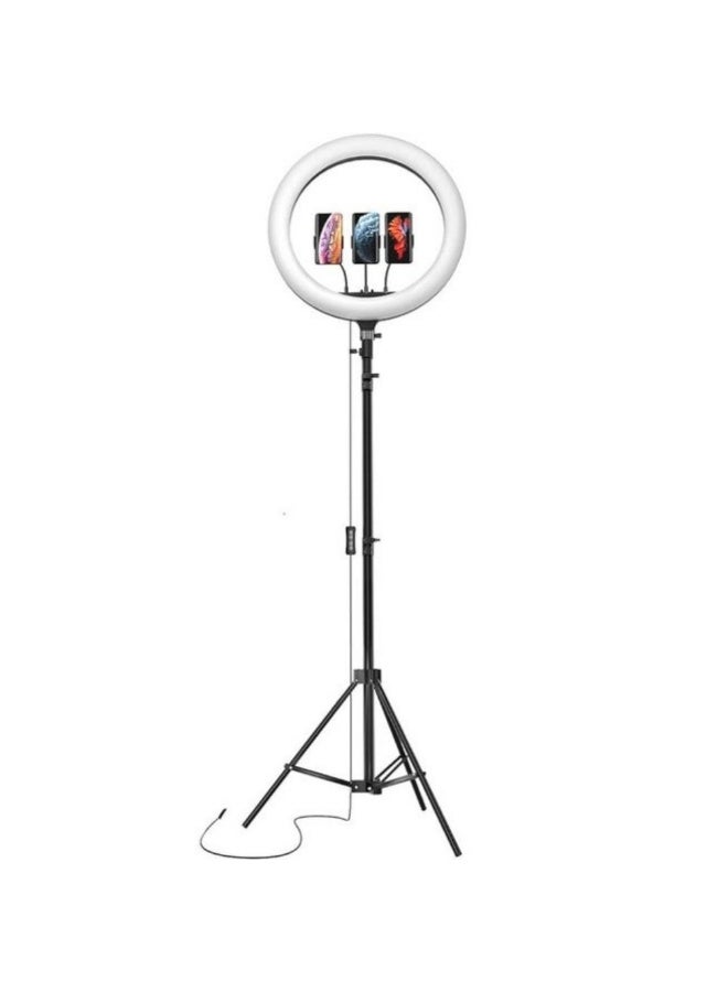 ACLIX LED Ring Light (14 inch) with Tripod Stand & Mini Tripod and Dual Temperature Modes - Image 1