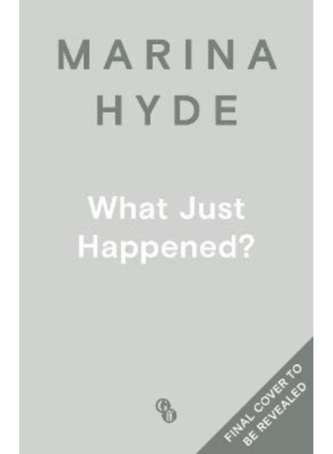 WHAT JUST HAPPENED - Paperback