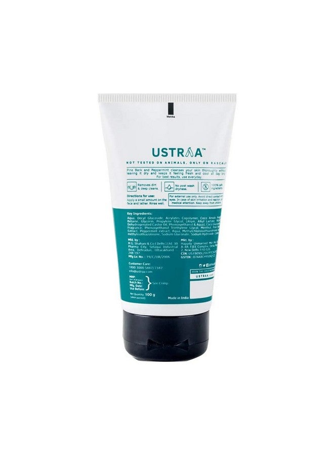 Ustraa Face Wash - Mint Cool - For Dry to Normal Skin - 100g | Reduces Moisture Loss | Removes Dirt & De-Tan Face Scrub for Men, 100g | Effective Tan Removal | with Walnut Granules | No SLS - Image 4